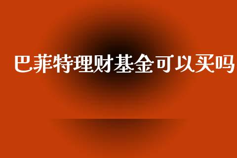 巴菲特理财基金可以买吗_https://www.apanben.com_国际财经_第1张