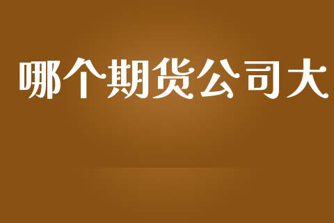 哪个期货公司大_https://www.apanben.com_股市指导_第1张