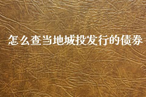 怎么查当地城投发行的债券_https://www.apanben.com_国际期货_第1张