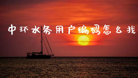中环水务用户编码怎么找_https://www.apanben.com_在线喊单_第1张