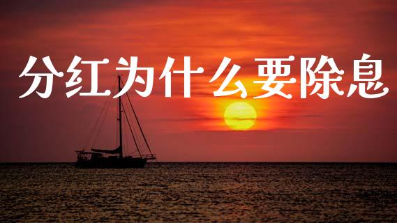 分红为什么要除息_https://www.apanben.com_期货学院_第1张