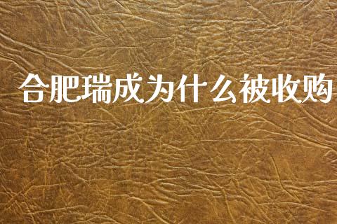 合肥瑞成为什么被收购_https://www.apanben.com_国际期货_第1张