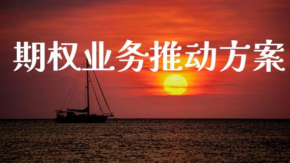 期权业务推动方案_https://www.apanben.com_财经资讯_第1张