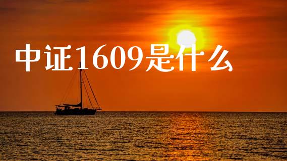 中证1609是什么_https://www.apanben.com_财经资讯_第1张