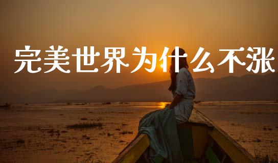 完美世界为什么不涨_https://www.apanben.com_股市指导_第1张