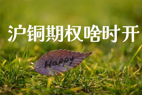 沪铜期权啥时开_https://www.apanben.com_国际期货_第1张