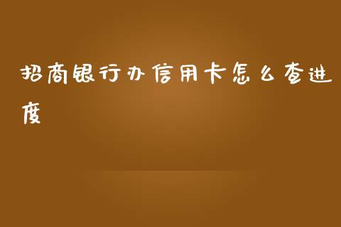 招商银行办信用卡怎么查进度_https://www.apanben.com_在线喊单_第1张