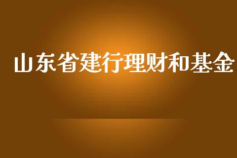 山东省建行理财和基金_https://www.apanben.com_财经资讯_第1张