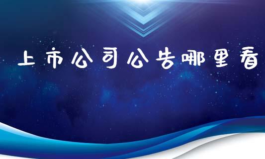 上市公司公告哪里看_https://www.apanben.com_期货学院_第1张