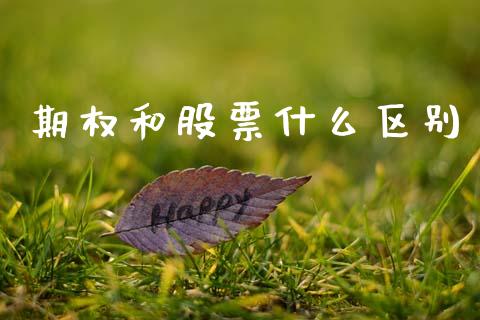 期权和股票什么区别_https://www.apanben.com_股票怎么玩_第1张