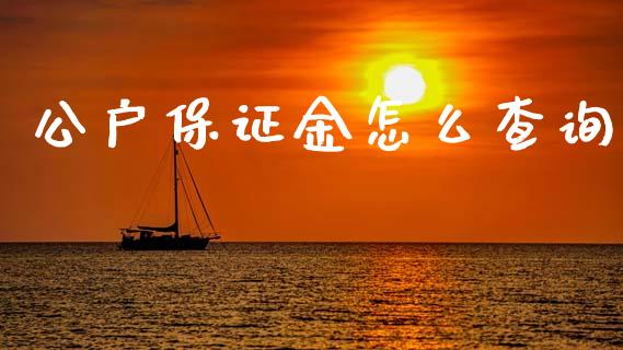 公户保证金怎么查询_https://www.apanben.com_股市分析_第1张