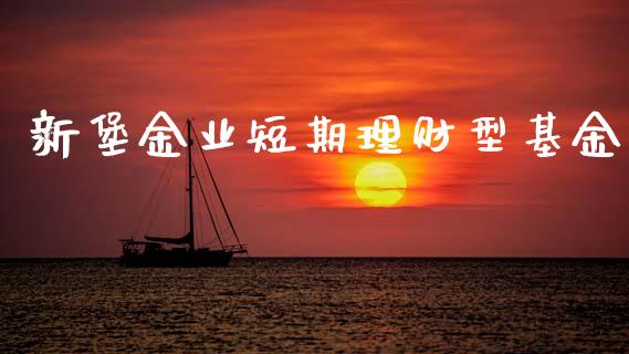 新堡金业短期理财型基金_https://www.apanben.com_国际财经_第1张
