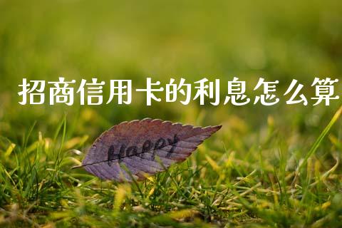 招商信用卡的利息怎么算_https://www.apanben.com_国际财经_第1张