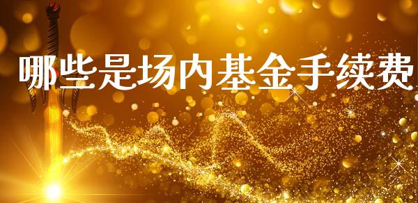 哪些是场内基金手续费_https://www.apanben.com_期货学院_第1张