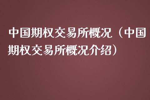 中国期权交易所概况（中国期权交易所概况介绍）_https://www.apanben.com_期货学院_第1张