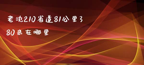 老沈210省道81公里380米在哪里_https://www.apanben.com_股市分析_第1张