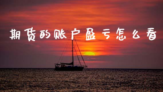 期货的账户盈亏怎么看_https://www.apanben.com_股市指导_第1张