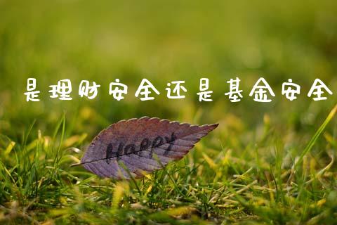 是理财安全还是基金安全_https://www.apanben.com_国际财经_第1张