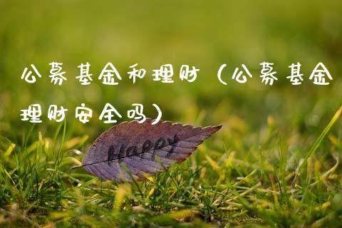 公募基金和理财（公募基金理财安全吗）_https://www.apanben.com_财经资讯_第1张
