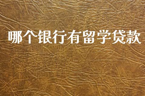 哪个银行有留学贷款_https://www.apanben.com_期货学院_第1张