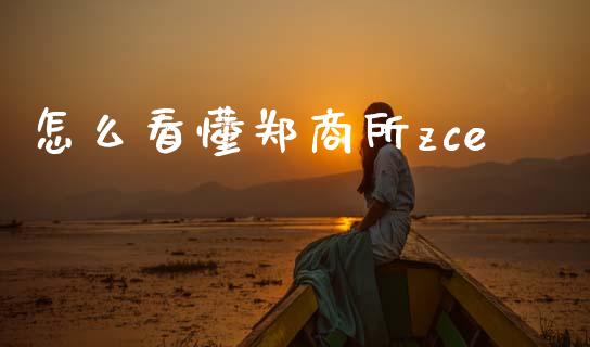 怎么看懂郑商所zce_https://www.apanben.com_期货学院_第1张