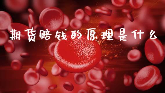 期货赔钱的原理是什么_https://www.apanben.com_股市指导_第1张
