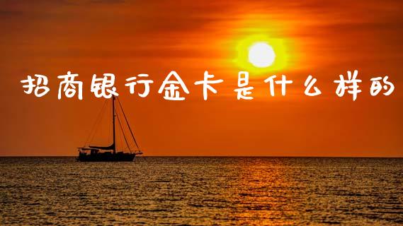招商银行金卡是什么样的_https://www.apanben.com_国际财经_第1张