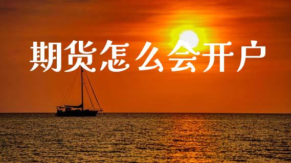 期货怎么会开户_https://www.apanben.com_在线喊单_第1张