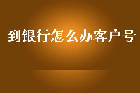 到银行怎么办客户号_https://www.apanben.com_股票怎么玩_第1张