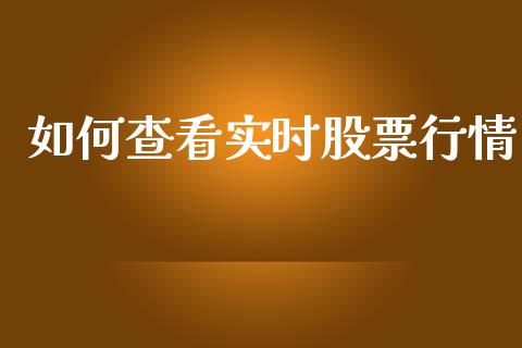 如何查看实时股票行情_https://www.apanben.com_股市指导_第1张