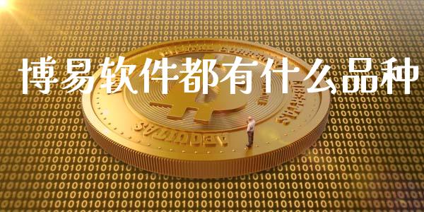 博易软件都有什么品种_https://www.apanben.com_股市指导_第1张