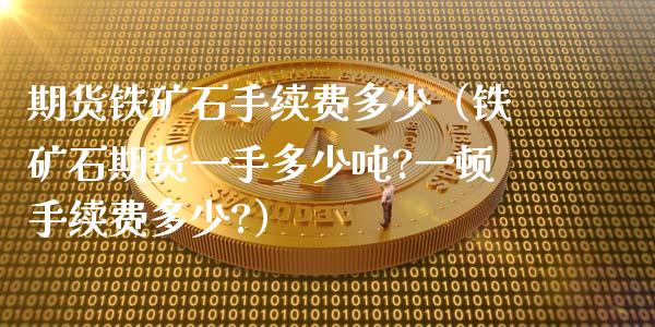 期货铁矿石手续费多少（铁矿石期货一手多少吨?一顿手续费多少?）_https://www.apanben.com_期货学院_第1张
