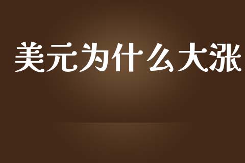 美元为什么大涨_https://www.apanben.com_国际财经_第1张