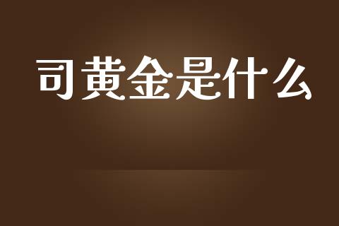 司黄金是什么_https://www.apanben.com_国际期货_第1张
