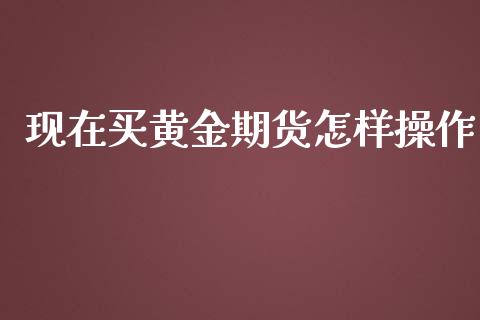 现在买黄金期货怎样操作_https://www.apanben.com_国际期货_第1张