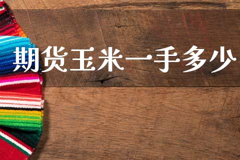 期货玉米一手多少_https://www.apanben.com_国际财经_第1张