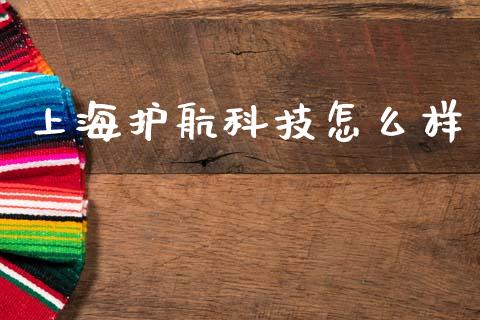 上海护航科技怎么样_https://www.apanben.com_股市指导_第1张