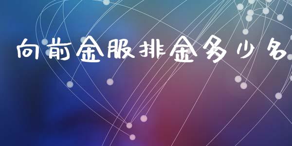 向前金服排金多少名_https://www.apanben.com_在线喊单_第1张
