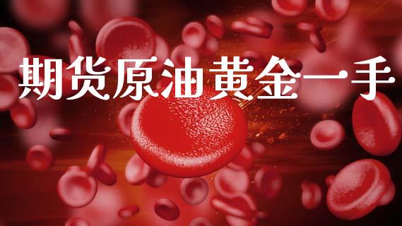 期货原油黄金一手_https://www.apanben.com_国际期货_第1张
