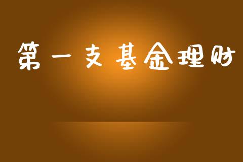 第一支基金理财_https://www.apanben.com_国际财经_第1张