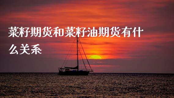 菜籽期货和菜籽油期货有什么关系_https://www.apanben.com_股市指导_第1张