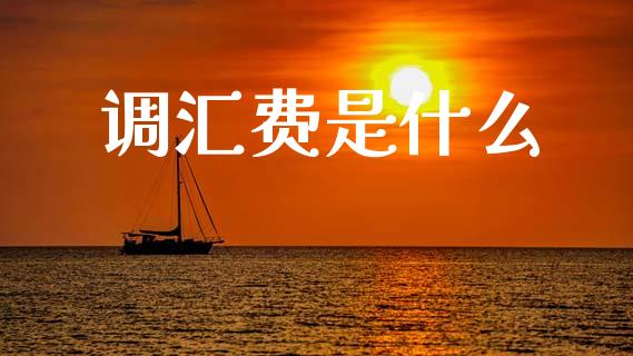 调汇费是什么_https://www.apanben.com_期货学院_第1张