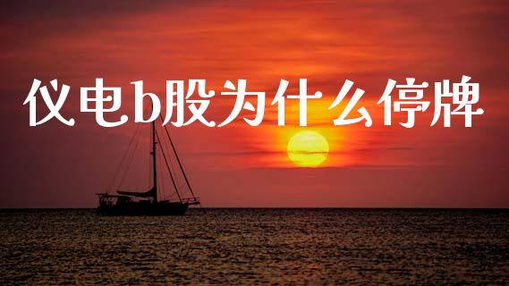 仪电b股为什么停牌_https://www.apanben.com_股市分析_第1张