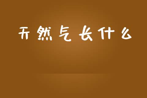 天然气长什么_https://www.apanben.com_期货学院_第1张