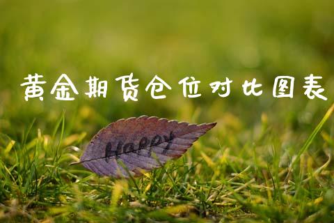 黄金期货仓位对比图表_https://www.apanben.com_国际期货_第1张