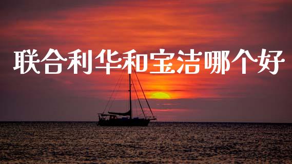 联合利华和宝洁哪个好_https://www.apanben.com_期货学院_第1张