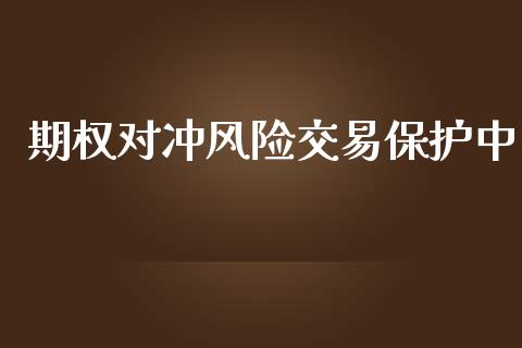 期权对冲风险交易保护中_https://www.apanben.com_期货学院_第1张
