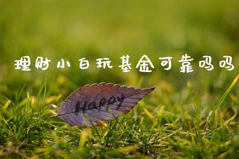 理财小白玩基金可靠吗吗_https://www.apanben.com_财经资讯_第1张