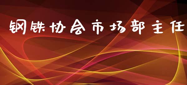 钢铁协会市场部主任_https://www.apanben.com_期货学院_第1张