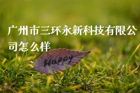 广州市三环永新科技有限公司怎么样_https://www.apanben.com_国际财经_第1张